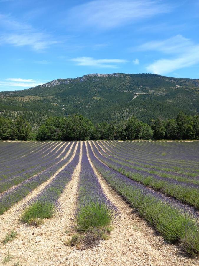 La Plume Du Ventoux Suite 305 Mollans-sur-Ouvèze Buitenkant foto